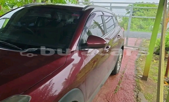 Buy Used Hyundai Tucson Red Car in Labasa in Northern Buy Used Hyundai Tucson Red Car in Labasa in Northern