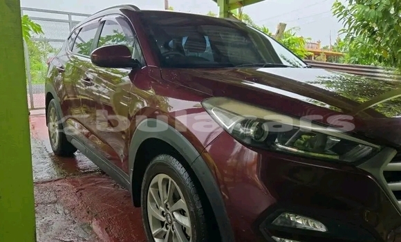 Buy Used Hyundai Tucson Red Car in Labasa in Northern Buy Used Hyundai Tucson Red Car in Labasa in Northern