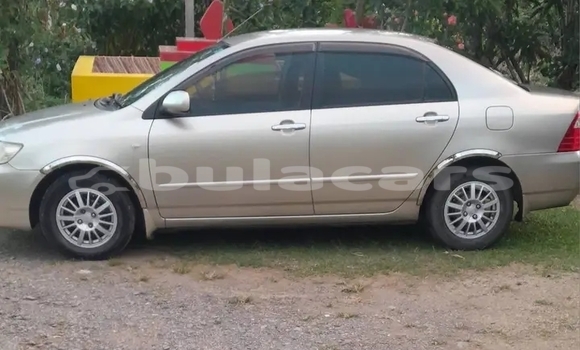 Buy Used Toyota Corolla Other Car in Deuba in Central Buy Used Toyota Corolla Other Car in Deuba in Central