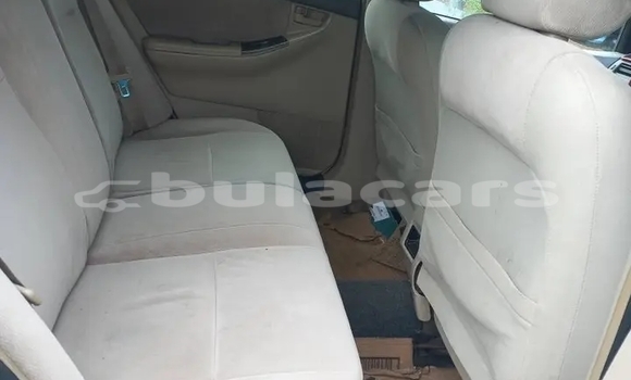 Buy Used Toyota Fielder Other Car in Lautoka in Western Buy Used Toyota Fielder Other Car in Lautoka in Western
