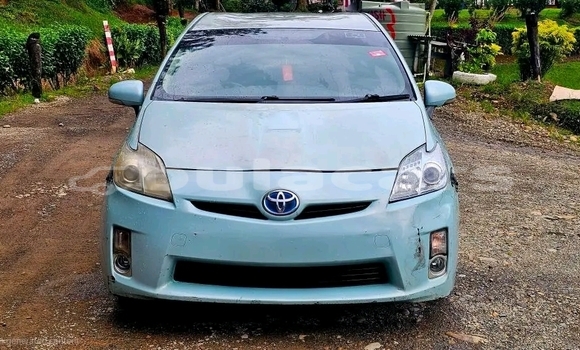 Buy Used Toyota Prius White Car in Labasa in Northern Buy Used Toyota Prius White Car in Labasa in Northern