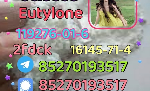 Medium with watermark 1 13 