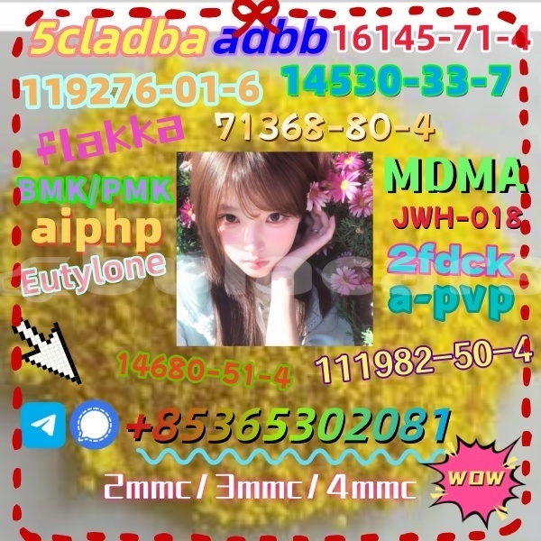 Big with watermark 1 16 %e5%89%af%e6%9c%ac