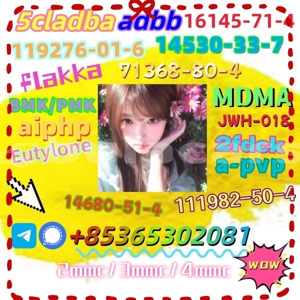 Big with watermark 1 16