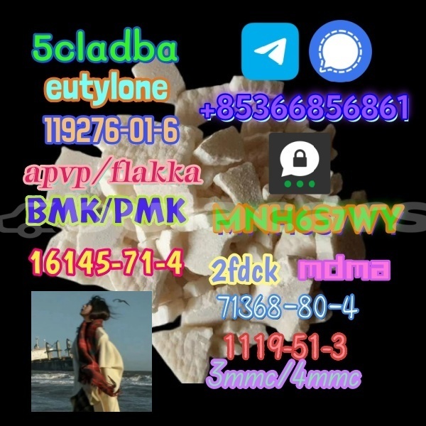 Big with watermark 1 291 