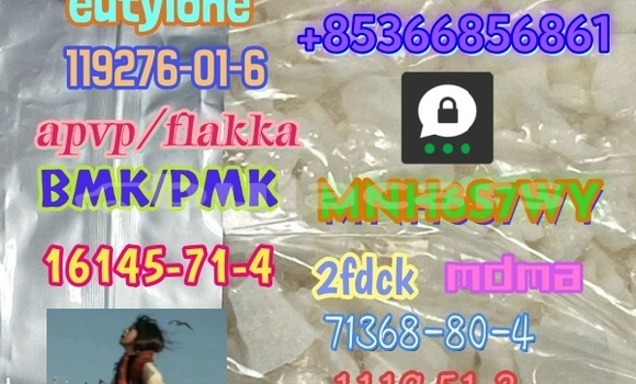 Medium with watermark 1 292 