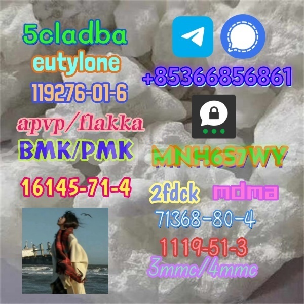 Big with watermark 1 294 