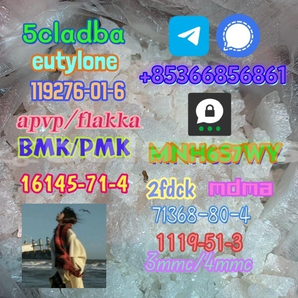 Big with watermark 1 295 