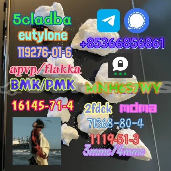 Big with watermark 1 299 