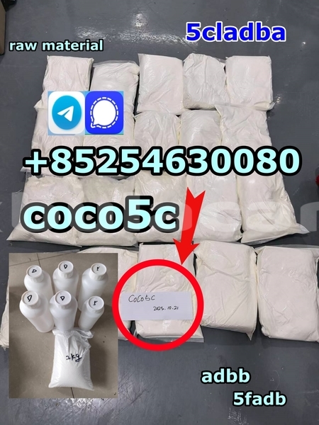 Big with watermark 728f350d8cf005654b735ee4ef5b59783bd %e5%89%af%e6%9c%ac