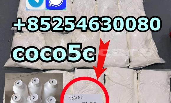 Medium with watermark 728f350d8cf005654b735ee4ef5b59783bd %e5%89%af%e6%9c%ac