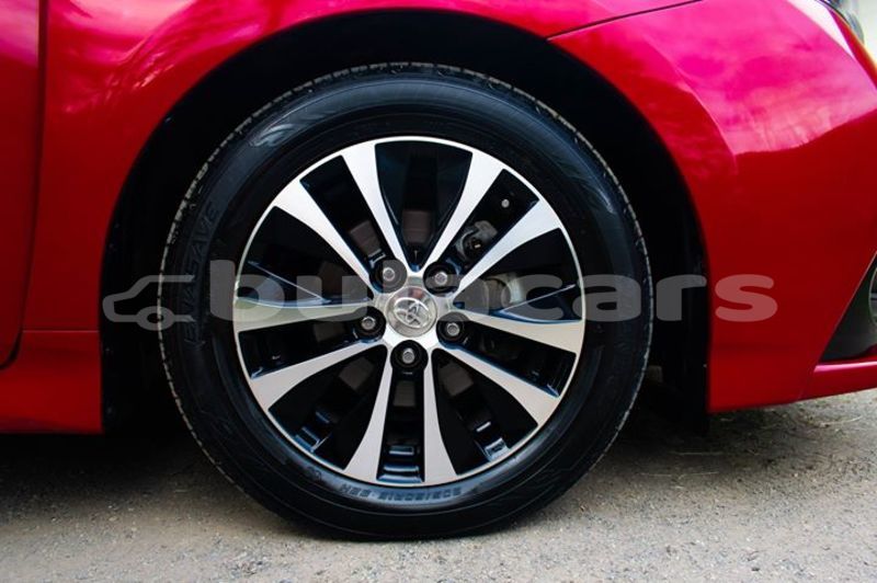 Big with watermark 42622442 10160927323735367 3368638894311473152 o