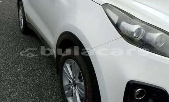 Buy Used Kia Sportage Other Car in Suva in Central Buy Used Kia Sportage Other Car in Suva in Central