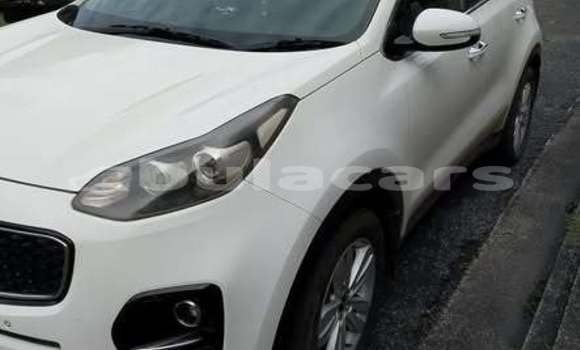 Buy Used Kia Sportage Other Car in Suva in Central Buy Used Kia Sportage Other Car in Suva in Central