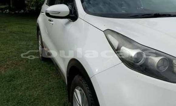 Buy Used Kia Sportage Other Car in Suva in Central Buy Used Kia Sportage Other Car in Suva in Central