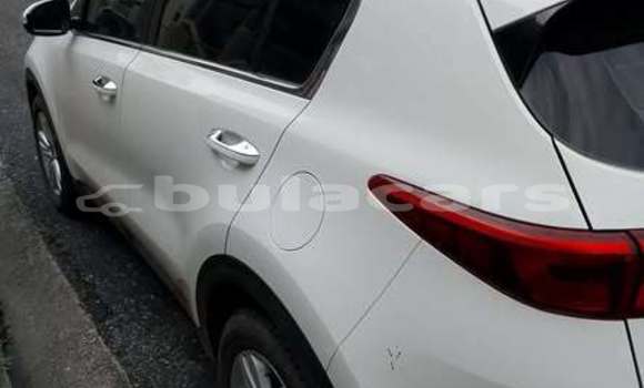 Buy Used Kia Sportage Other Car in Suva in Central Buy Used Kia Sportage Other Car in Suva in Central
