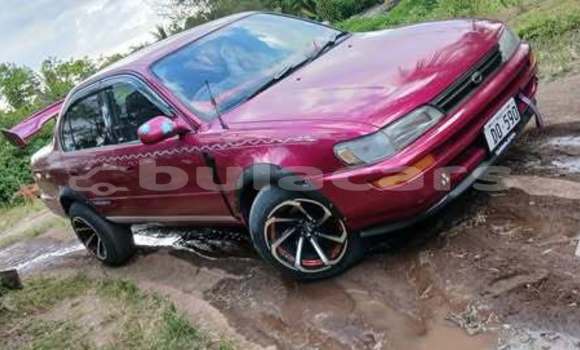 Buy Used Toyota 2000GT Other Car in Suva in Central