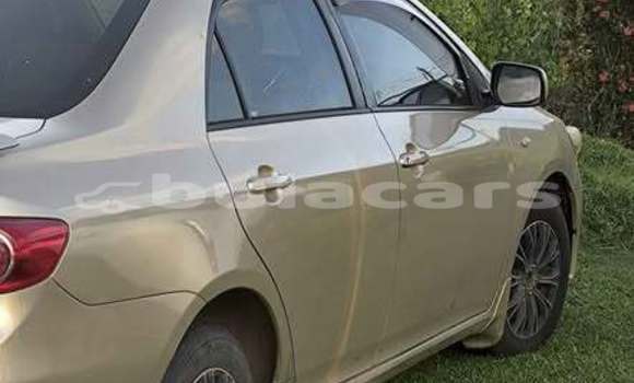 Buy Used Toyota Corolla Other Car in Suva in Central Buy Used Toyota Corolla Other Car in Suva in Central