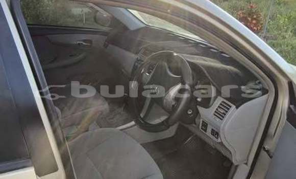 Buy Used Toyota Corolla Other Car in Suva in Central Buy Used Toyota Corolla Other Car in Suva in Central