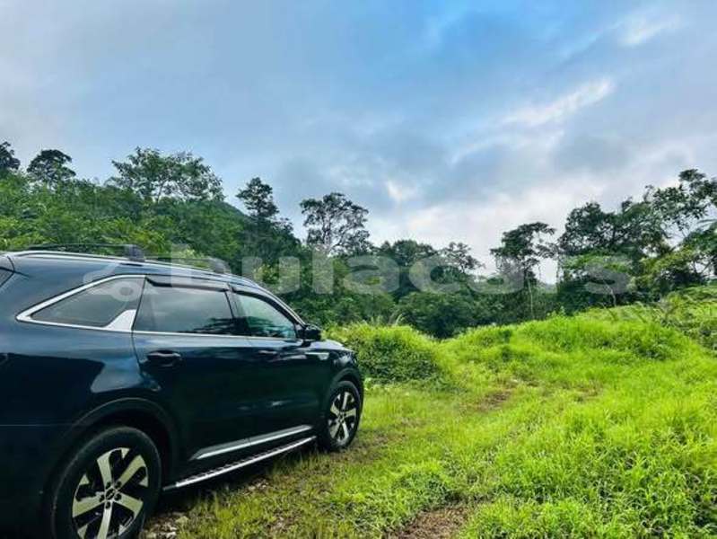 Big with watermark kia sorento central suva 11415