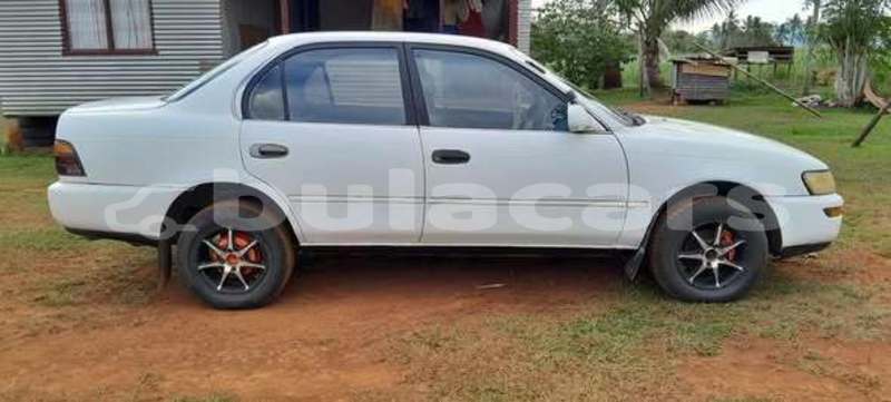 Big with watermark toyota corolla central suva 11423