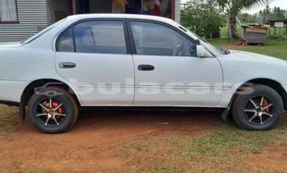 Buy Used Toyota Corolla Other Car in Suva in Central