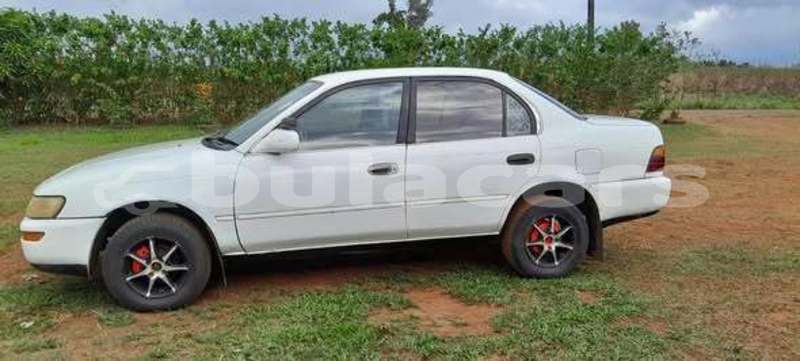 Big with watermark toyota corolla central suva 11423