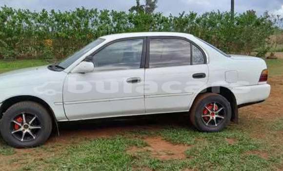 Buy Used Toyota Corolla Other Car in Suva in Central Buy Used Toyota Corolla Other Car in Suva in Central