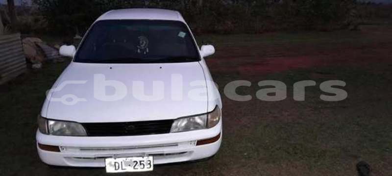 Big with watermark toyota corolla central suva 11423