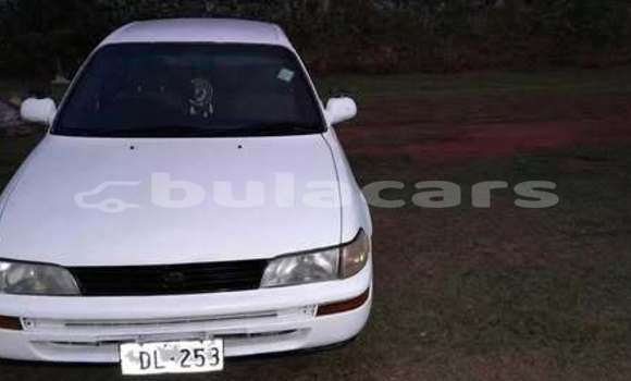 Buy Used Toyota Corolla Other Car in Suva in Central Buy Used Toyota Corolla Other Car in Suva in Central