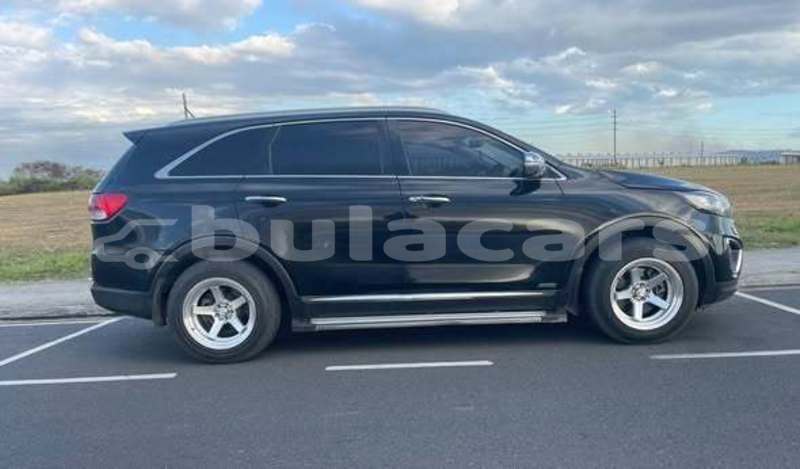 Big with watermark kia sorrento western ba 11432