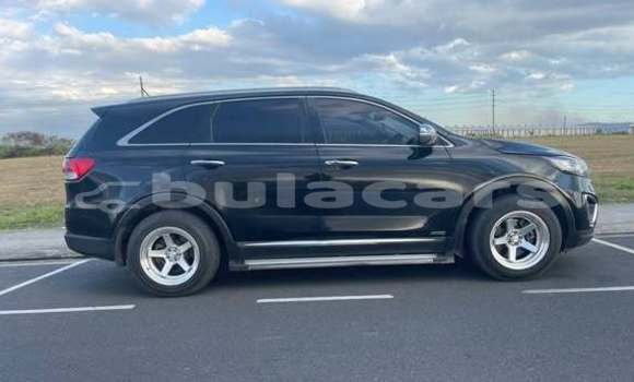 Buy Used Kia Sorrento Other Car in Ba in Western