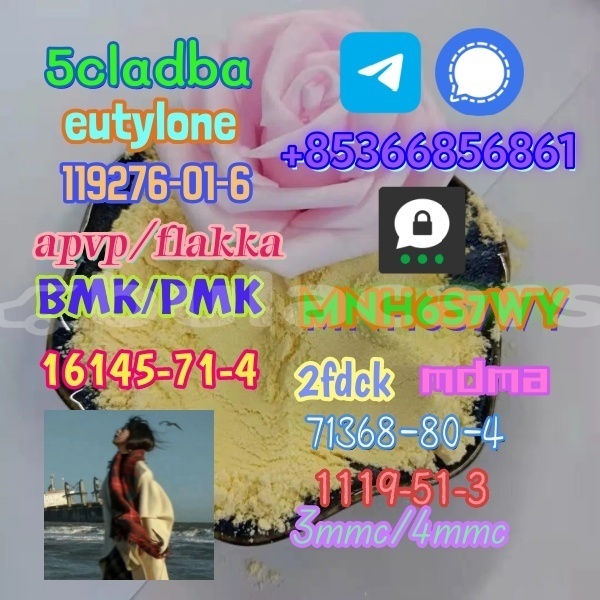 Big with watermark 1 311 