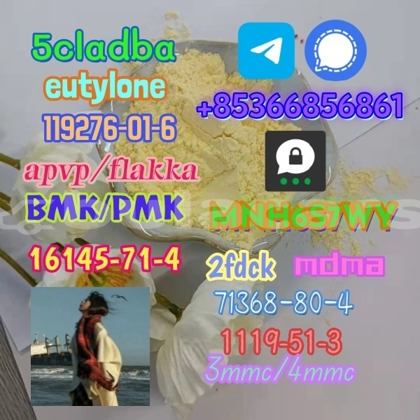 Big with watermark 1 312 