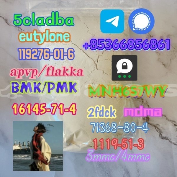 Big with watermark 1 315 