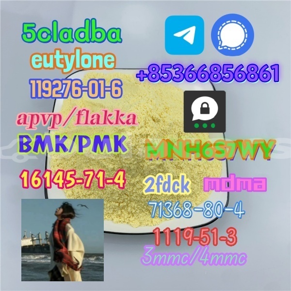 Big with watermark 1 333 