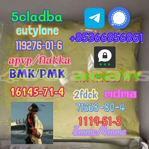 Big with watermark 1 335 