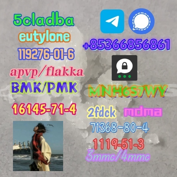 Big with watermark 1 337 