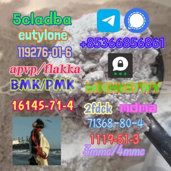 Big with watermark 1 338 