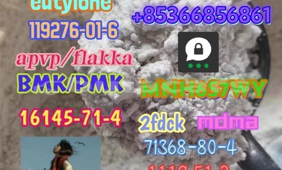 Medium with watermark 1 338 