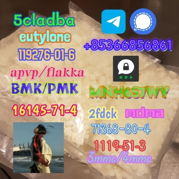 Big with watermark 1 339 