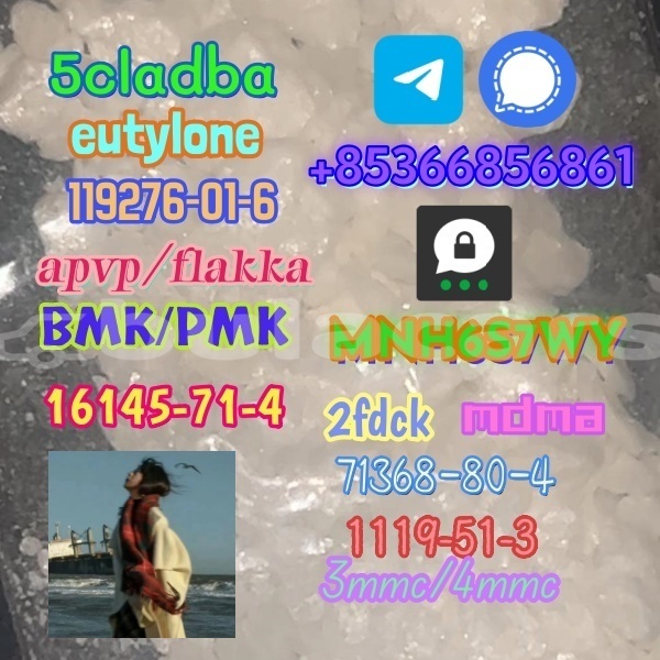 Big with watermark 1 223 