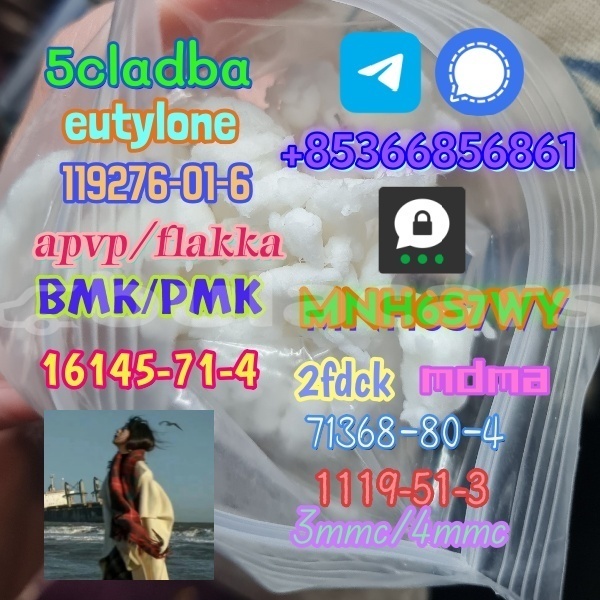 Big with watermark 1 224 