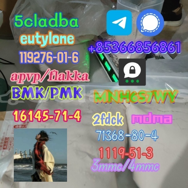 Big with watermark 1 228 