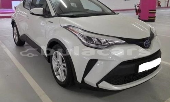 Buy Used Toyota C-HR White Car in Suva in Central