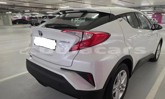 Buy Used Toyota C-HR White Car in Suva in Central Buy Used Toyota C-HR White Car in Suva in Central