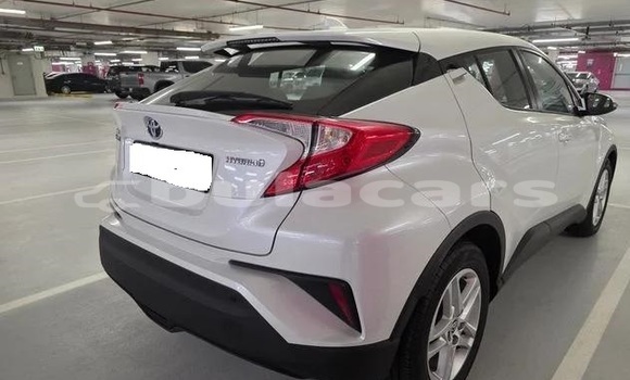 Buy Used Toyota C-HR White Car in Suva in Central Buy Used Toyota C-HR White Car in Suva in Central