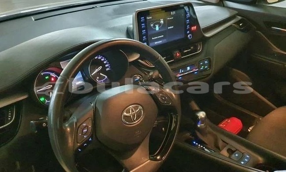 Buy Used Toyota C-HR White Car in Suva in Central Buy Used Toyota C-HR White Car in Suva in Central