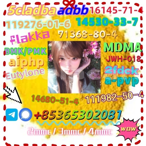 Big with watermark 1 15 %e5%89%af%e6%9c%ac