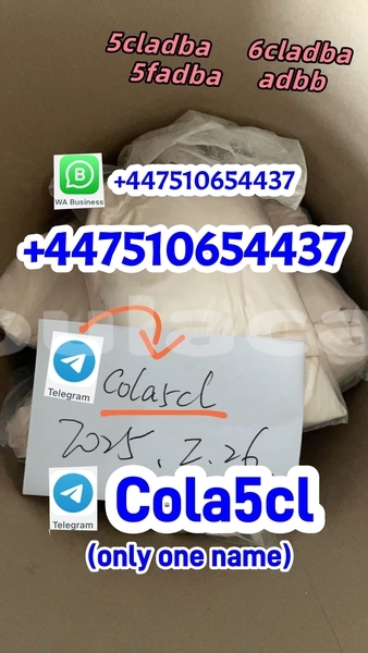 Big with watermark 44%e6%9c%aa%e5%91%bd%e5%90%8d